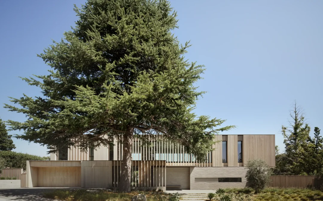 Hillsborough Residence
